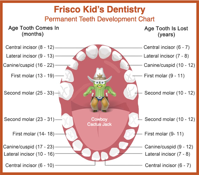 Losing teeth outlet ages