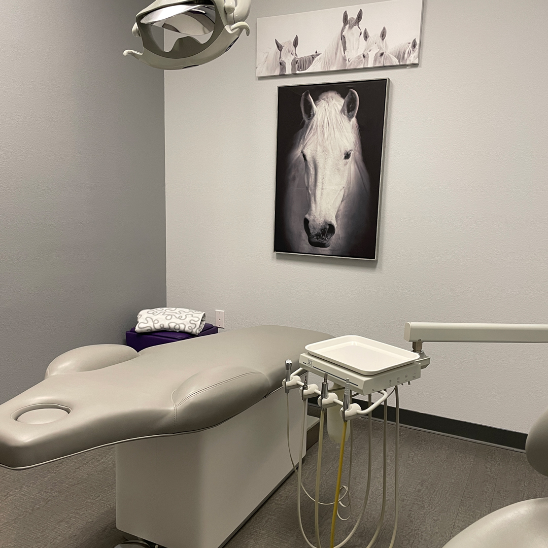 Lonestar Kid's Dentistry, McKinney location, private exam room